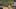 Game screenshot thumbnail 5