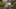 Game screenshot thumbnail 4