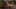 Game screenshot thumbnail 5
