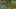 Game screenshot thumbnail 1