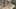 Game screenshot thumbnail 1