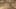 Game screenshot thumbnail 2