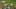 Game screenshot thumbnail 1