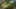 Game screenshot thumbnail 5