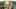 Game screenshot thumbnail 5