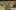 Game screenshot thumbnail 5