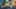 Game screenshot thumbnail 1