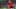 Game screenshot thumbnail 2