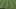 Game screenshot thumbnail 4