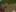 Game screenshot thumbnail 3