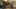 Game screenshot thumbnail 4
