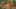 Game screenshot thumbnail 2