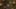 Game screenshot thumbnail 4