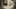 Game screenshot thumbnail 1