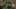 Game screenshot thumbnail 2