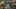 Game screenshot thumbnail 5