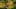 Game screenshot thumbnail 1