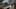 Game screenshot thumbnail 4