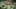 Game screenshot thumbnail 2