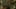 Game screenshot thumbnail 3