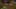 Game screenshot thumbnail 5