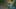 Game screenshot thumbnail 4
