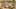 Game screenshot thumbnail 1
