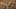 Game screenshot thumbnail 3