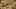 Game screenshot thumbnail 4