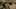 Game screenshot thumbnail 4