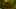 Game screenshot thumbnail 5