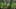 Game screenshot thumbnail 5