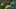 Game screenshot thumbnail 2