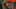 Game screenshot thumbnail 1
