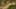 Game screenshot thumbnail 1