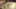 Game screenshot thumbnail 2