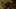 Game screenshot thumbnail 1