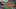 Game screenshot thumbnail 2