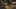 Game screenshot thumbnail 4