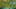 Game screenshot thumbnail 1