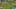 Game screenshot thumbnail 5