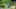 Game screenshot thumbnail 5