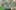 Game screenshot thumbnail 1