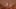 Game screenshot thumbnail 5