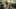 Game screenshot thumbnail 5
