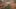 Game screenshot thumbnail 4