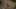 Game screenshot thumbnail 1