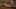 Game screenshot thumbnail 5
