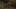 Game screenshot thumbnail 2