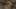 Game screenshot thumbnail 5